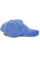 Texas Tumbleweed Adjustable Hat - Blue