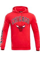 Pro Standard Chicago Bulls Mens Red Classic Bristle Fashion Hood