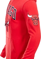 Pro Standard Chicago Bulls Mens Red Classic Bristle Fashion Hood