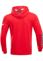 Pro Standard Chicago Bulls Mens Red Classic Bristle Fashion Hood