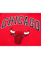 Pro Standard Chicago Bulls Mens Red Classic Bristle Fashion Hood