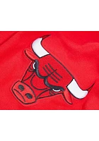 Pro Standard Chicago Bulls Mens Red Classic Bristle Fashion Hood
