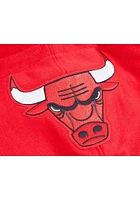 Pro Standard Chicago Bulls Mens Red Classic Bristle Fashion Hood
