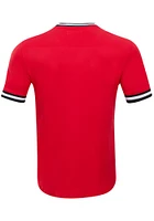 Pro Standard Cincinnati Reds Red Classic Chenille Rounded Short Sleeve Fashion T Shirt