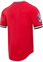 Pro Standard Cincinnati Reds Red Classic Chenille Rounded Short Sleeve Fashion T Shirt