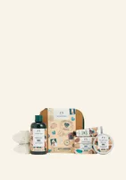 Nutty & Nourishing Shea Essentials Gift Set