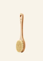 Cactus Long Handle Body Brush