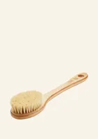 Cactus Long Handle Body Brush