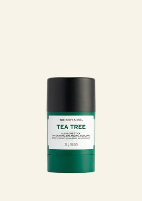Tea Tree All-In-One Stick | Cleansers & Toners