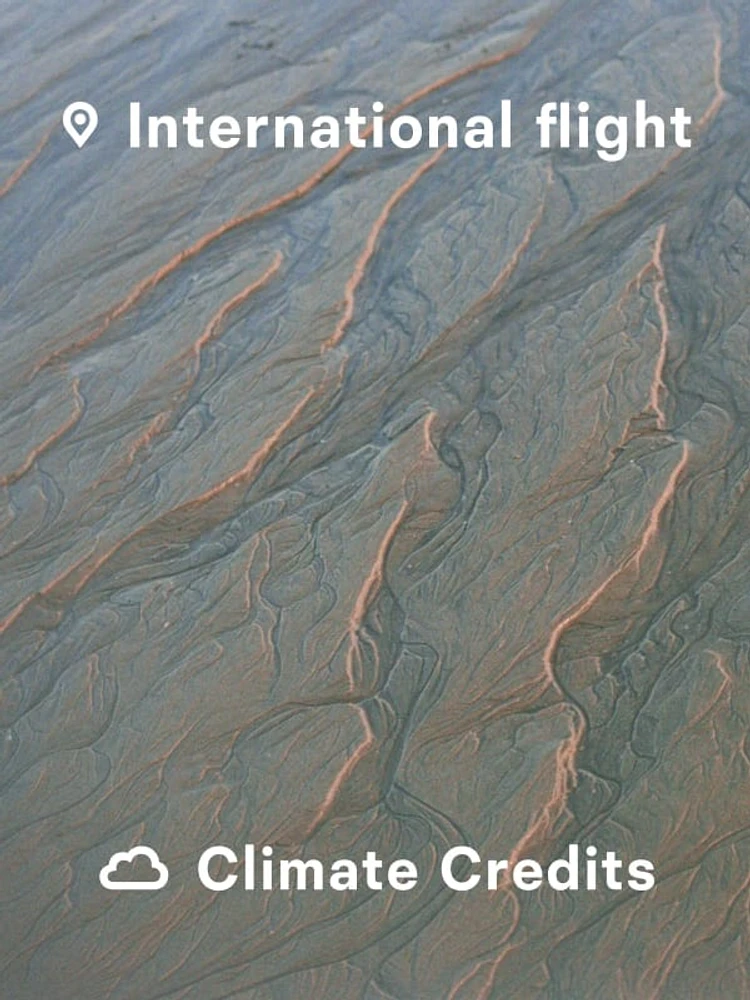 International Flight Climate Credit