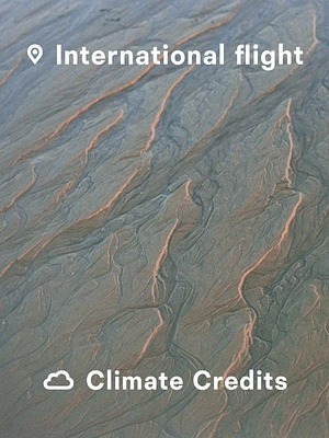 International Flight Climate Credit