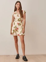 Radley Dress