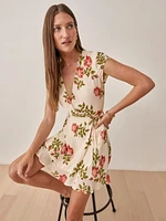 Radley Dress