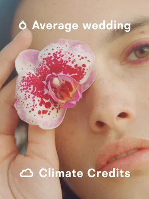 Average Wedding Climate Credit