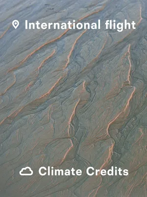 International Flight Climate Credit