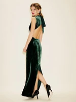 Yarden Velvet Dress