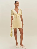 Avin Silk Dress