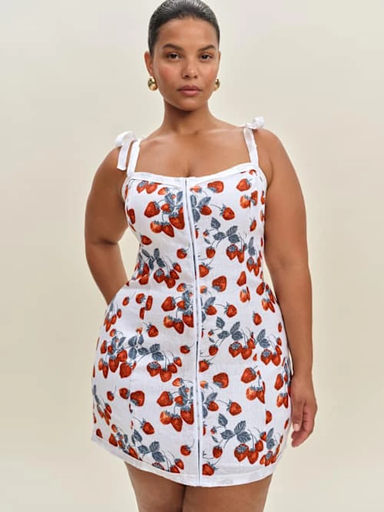 Dion Dress Es