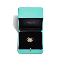 Apollo by Tiffany Brooch