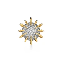 Apollo by Tiffany Brooch