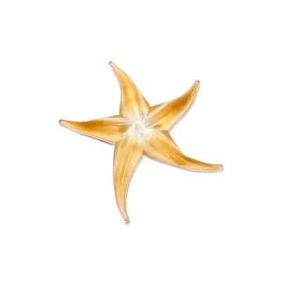 Elsa Peretti® Starfish