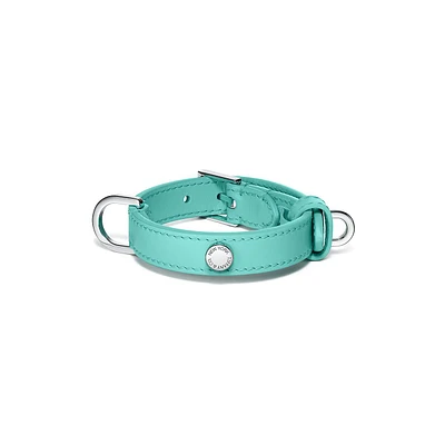 Pet Essentials Collar
