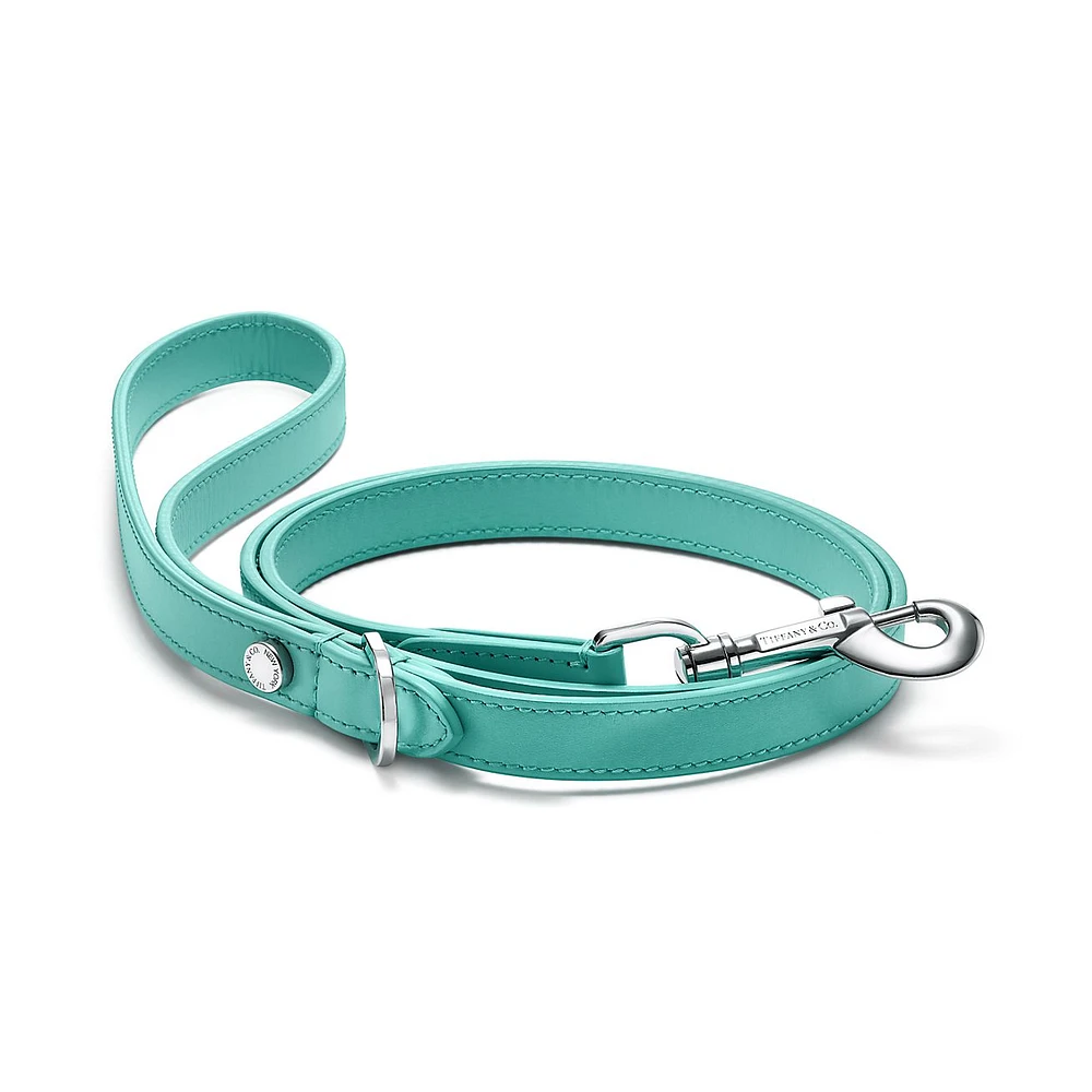 Pet Essentials Leash