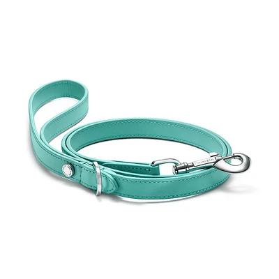 Pet Essentials Leash
