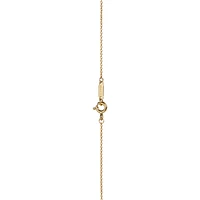 Tiffany 1837™ Interlocking Circles Pendant