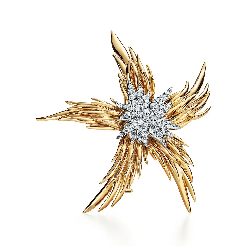 Tiffany & Co. Schlumberger Paris Flames Brooch