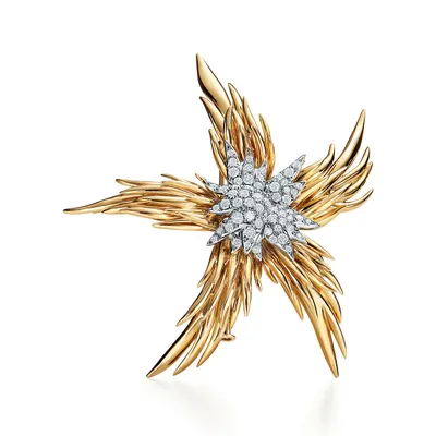 Tiffany & Co. Schlumberger Paris Flames Brooch