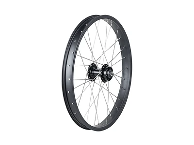 Trek Roscoe Boost 20" MTB Wheel