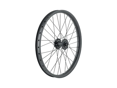 Trek Cargo Bike 6-Bolt Disc 20" Wheel