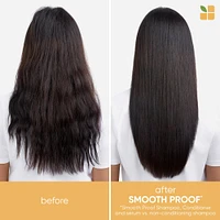 Smooth Proof Conditioner