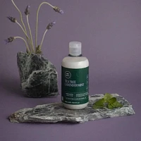 Tea Tree Lavender Mint Moisturizing Conditioner