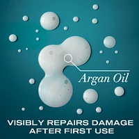 Renewing + Argan Oil of Morocco Shampoo - 13.0 oz