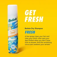 Fresh Dry Shampoo - Light & Breezy