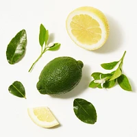 Clean Freak Refreshing Dry Shampoo