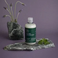 Tea Tree Lavender Mint Moisturizing Shampoo