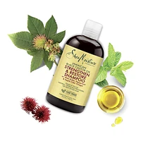 Jamaican Black Castor Oil Strengthen & Restore Shampoo - 13.0 oz