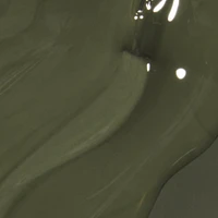 Green Nail Lacquer Collection - Suzi - The First Lady of Nails