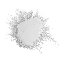 Translucent Matte Pro Setting Powder - Translucent