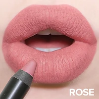 Magnetic Matte Lip Color