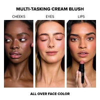 NUDIES MATTE All Over Face Blush Color - Naughty N Spice