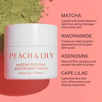 Matcha Pudding Antioxidant Cream