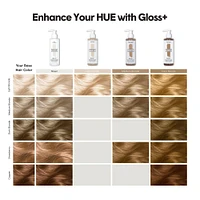 Gloss+ - Light Brown