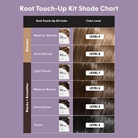 Root Touch Up Kit