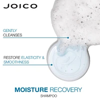 Moisture Recovery Moisturizing Shampoo for Thick/Coarse Hair, Dry Hair