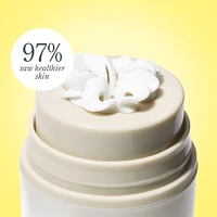 Bloom Cream Daily Moisturizer