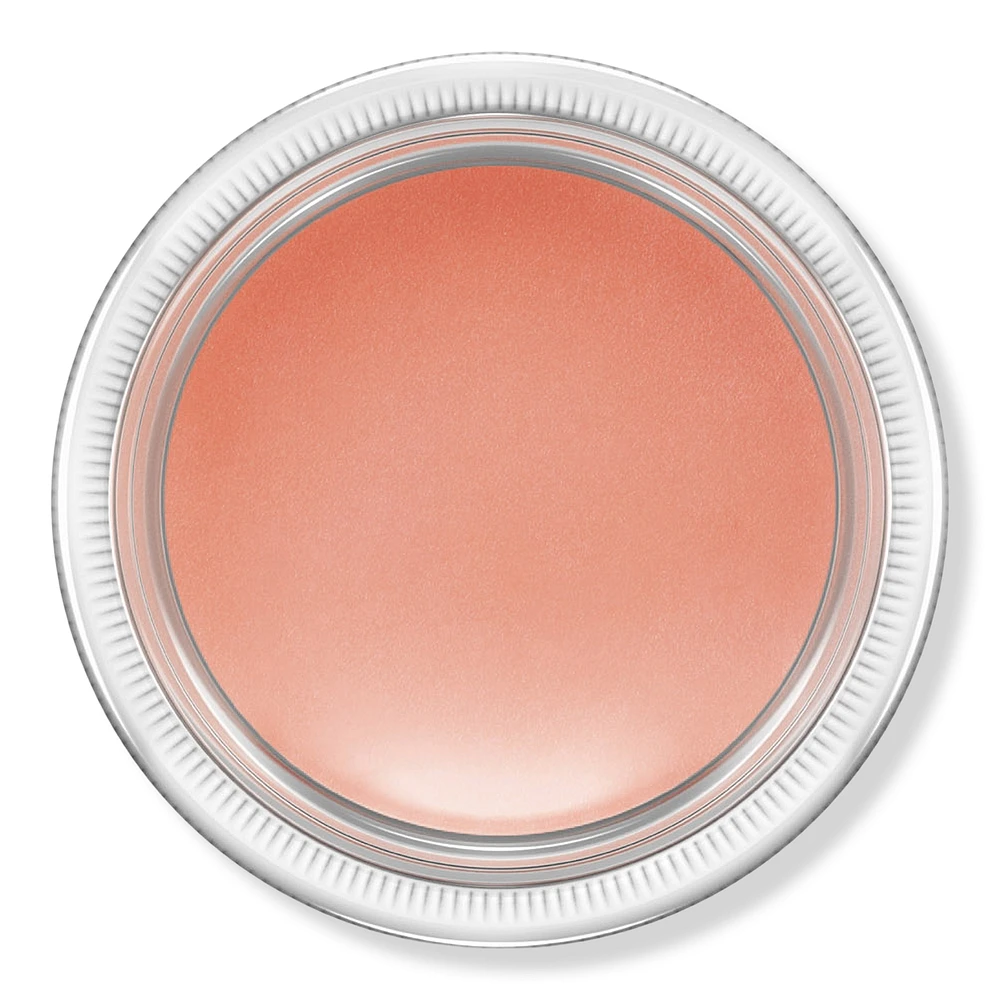 Pro Longwear Paint Pot Cream Eyeshadow